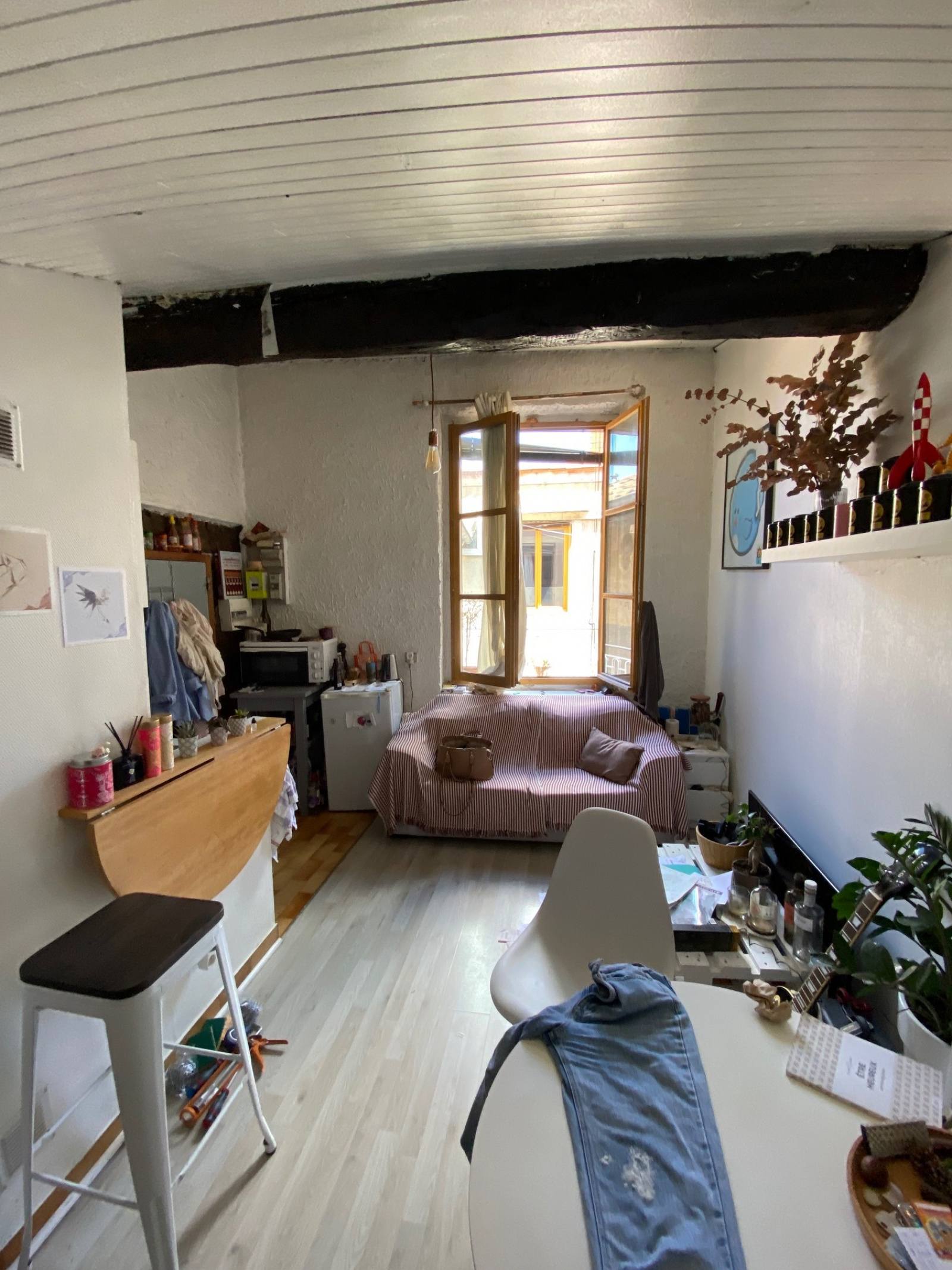 Image_, Appartement, Lyon, ref :000019