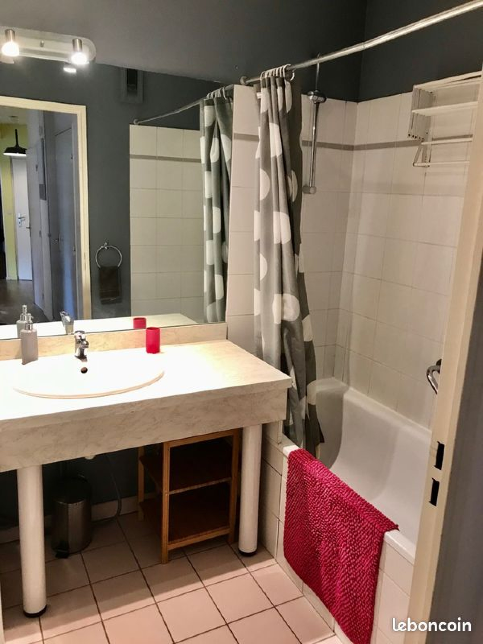 Image_, Appartement, Lyon, ref :00069