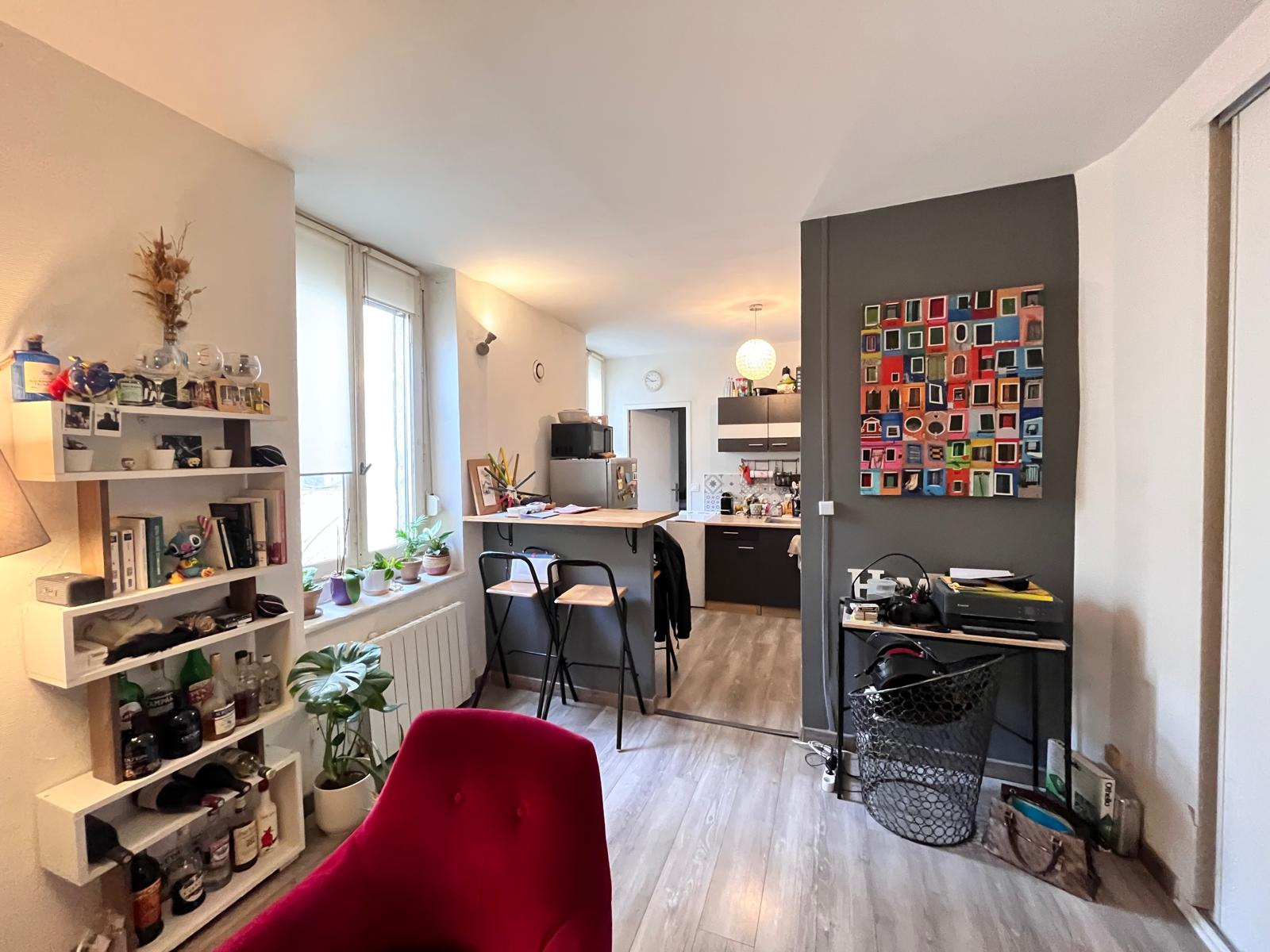 Image_, Appartement, Lyon, ref :000190