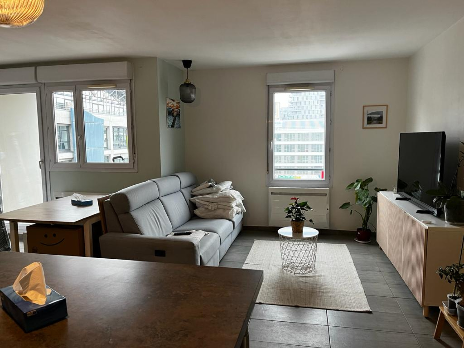 Image_, Appartement, Lyon, ref :00091