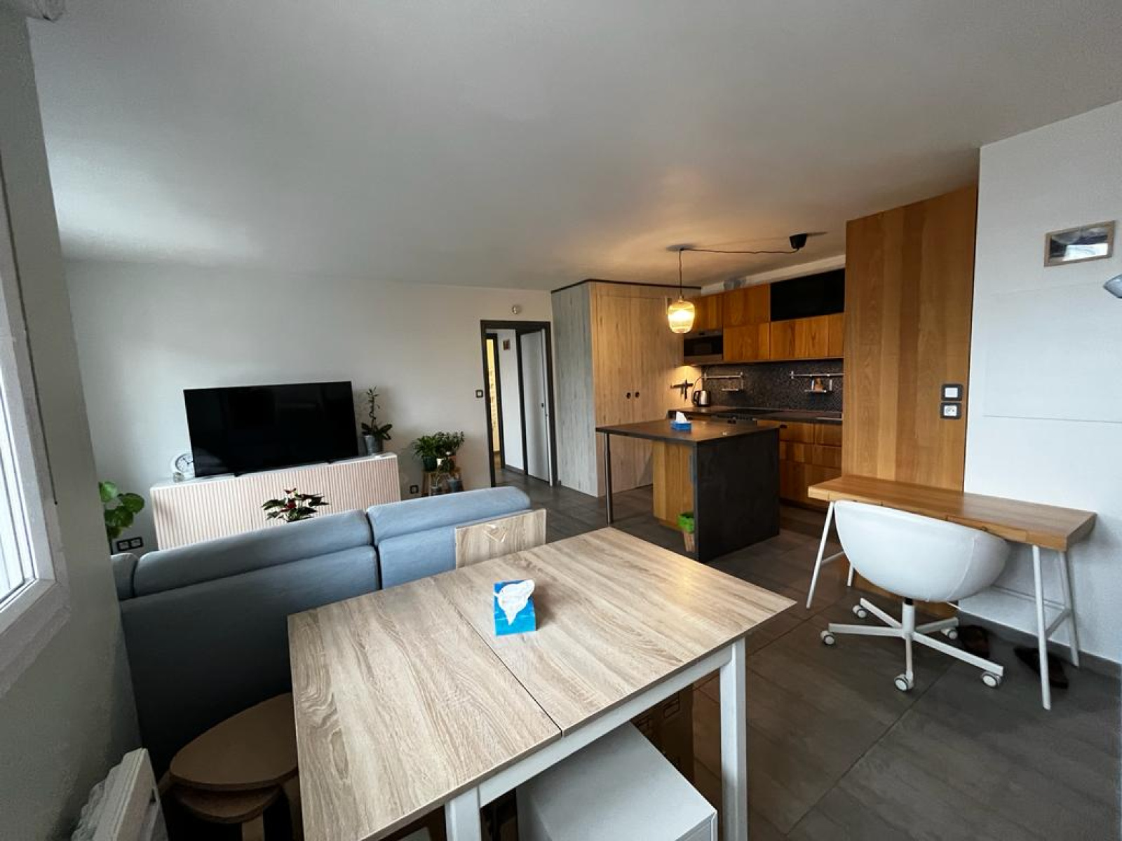 Image_, Appartement, Lyon, ref :00091