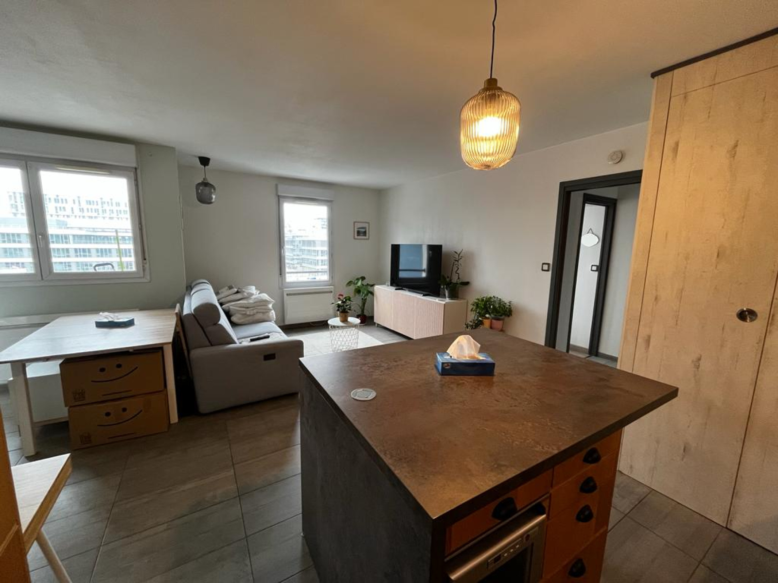 Image_, Appartement, Lyon, ref :00091