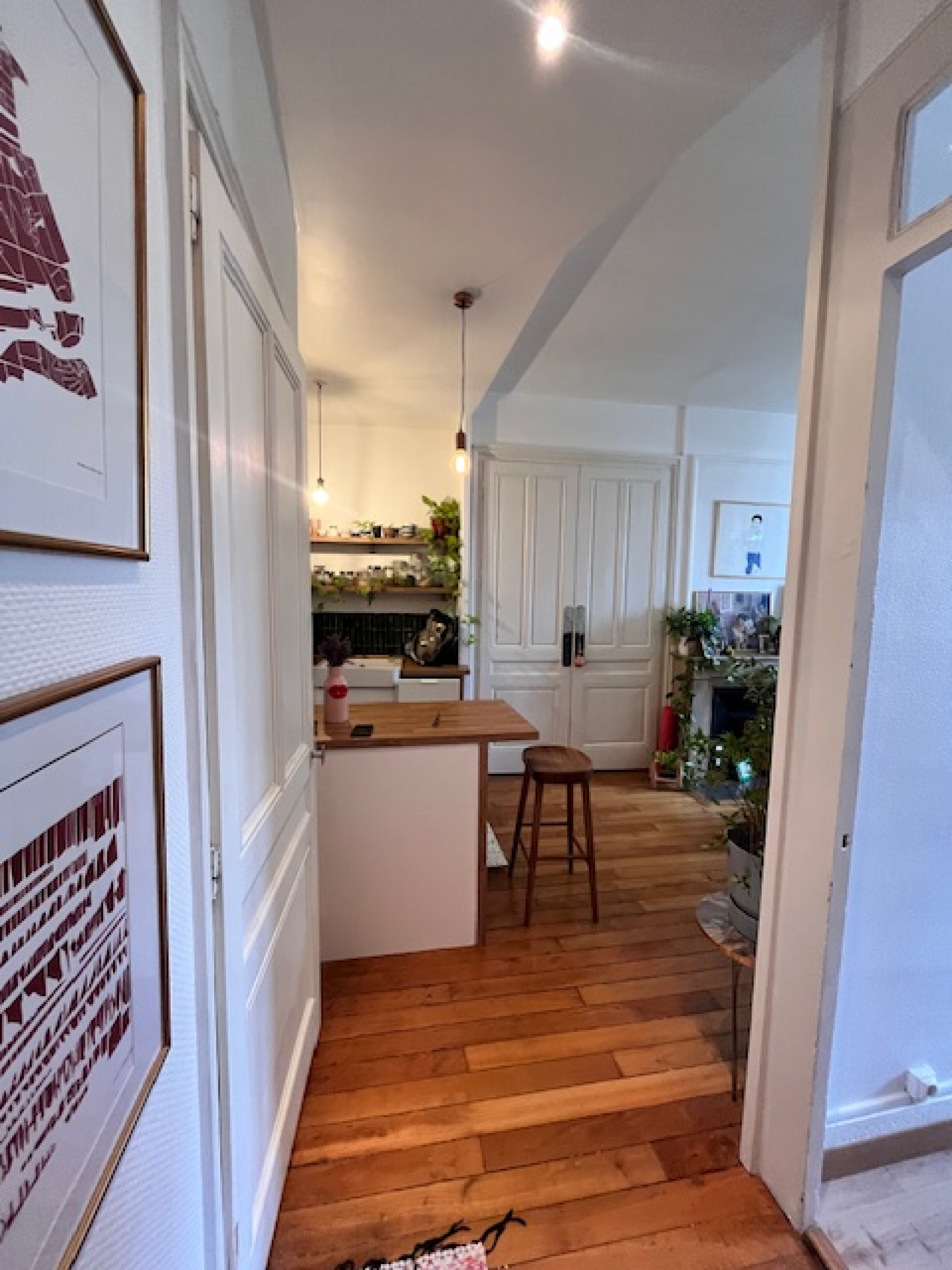 Image_, Appartement, Lyon, ref :000115