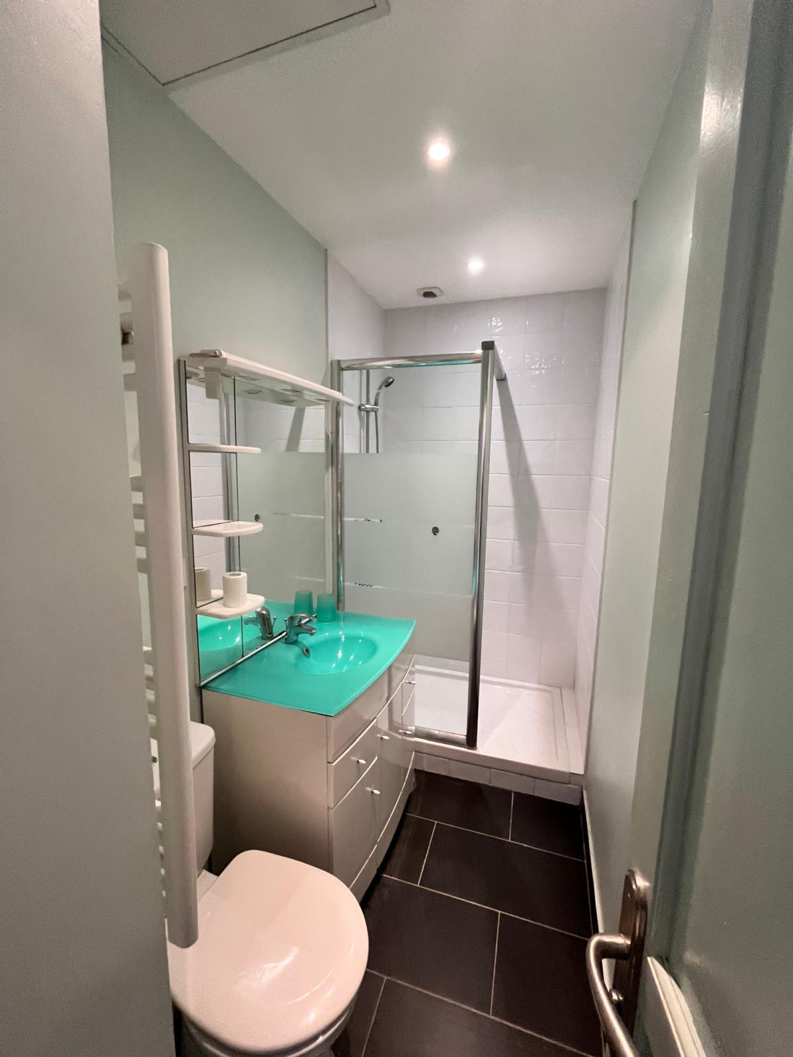 Image_, Appartement, Lyon, ref :000152